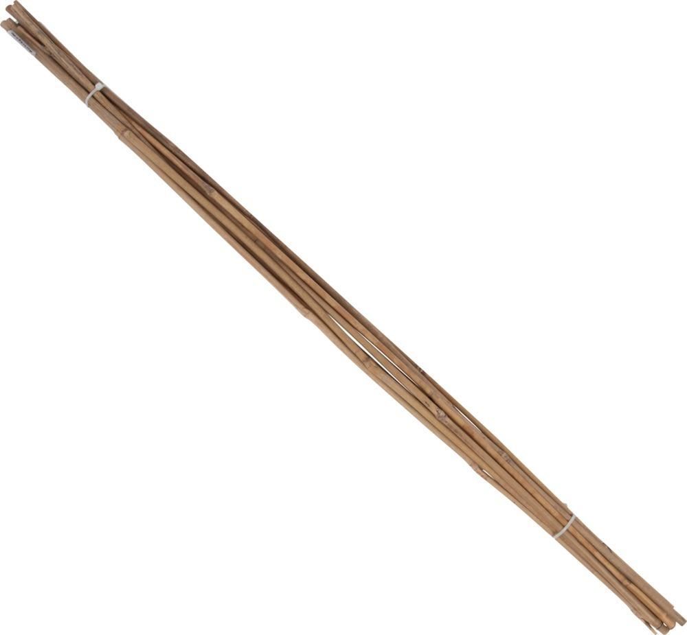 Floraworld Tonkin Pflanzstab Durchmesser 8-10 mm 120 cm 10 ner Bund