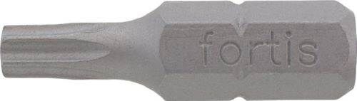 Fortis Bit 1/4 Zoll DIN3126C6,3 Torx mit Bohrung T-BO10 x 25 mm Box mit 10 Stück Produktbild Fortis Bit 1/4 Zoll DIN3126C6,3 Torx mit Bohrung T-BO10 x 25 mm Box mit 10 Stück bild 3