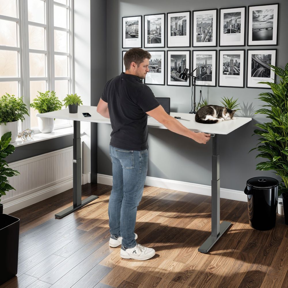 Produktbild Schreibtisch adlatus 100 2000 x 800 x 650-1300 mm M-Platte 22 mm RAL 9005 bild 6