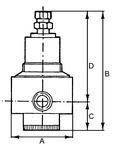 RIEGLER Druckregler Edelstahl Guss 1.4401 BG1 G1/4 1,7 bis 17,5 bar RIEGLER Druckregler Edelstahl Guss 1.4401 BG1 G1/4 1,7 bis 17,5 bar