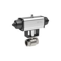 RIEGLER Edelstahlkugelhahn pneumatischer Stellantrieb nach Namur einfachwirkend Rp3/8 RIEGLER Edelstahlkugelhahn pneumatischer Stellantrieb nach Namur einfachwirkend Rp3/8