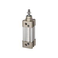 RIEGLER Normzylinder SAI doppeltwirkend Kolben 100mm Hub 175 G1/2