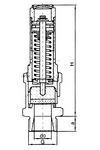 RIEGLER Sicherheitsventil Messing G2 Ansprechdruck 6,5 bar RIEGLER Sicherheitsventil Messing G2 Ansprechdruck 6,5 bar