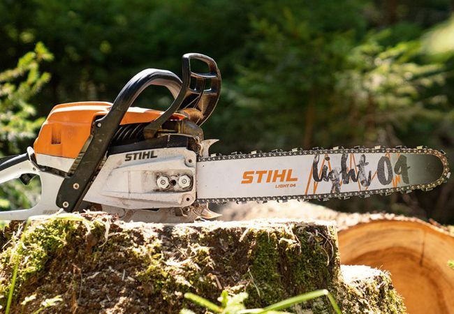 Stihl Kettensäge auf einem Baumstumpf im Wald liegend