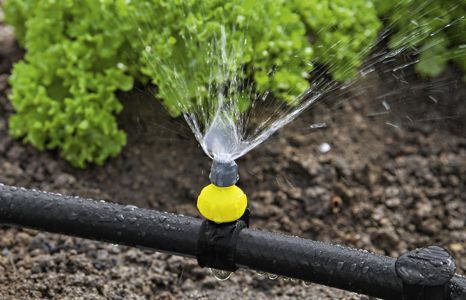 garten bewaesserung sprinkler systeme teaser