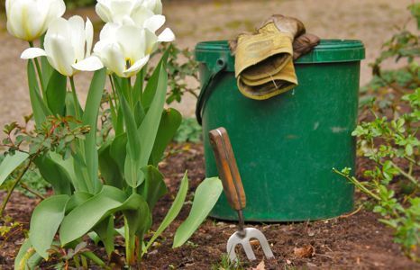 garten garten handwerkzeug eimer behaelter teaser