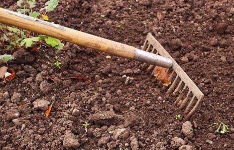 garten garten handwerkzeug rechen gabeln teaser