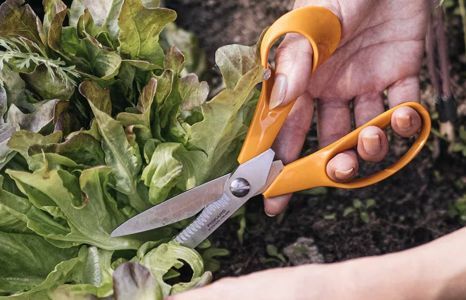 garten garten handwerkzeug scheren teaser Produktbild garten garten handwerkzeug scheren teaser