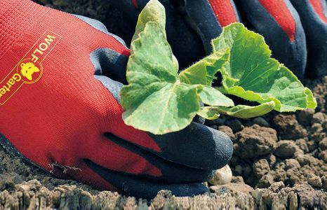 garten garten arbeitskleidung teaser Produktbild garten garten arbeitskleidung teaser