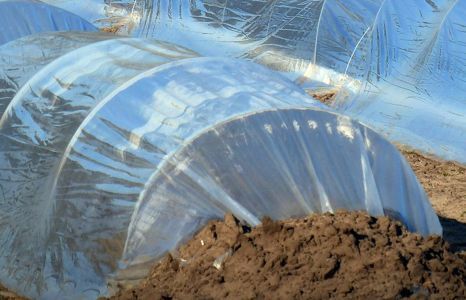 garten garten verbrauchsmaterial teaser Produktbild garten garten verbrauchsmaterial teaser