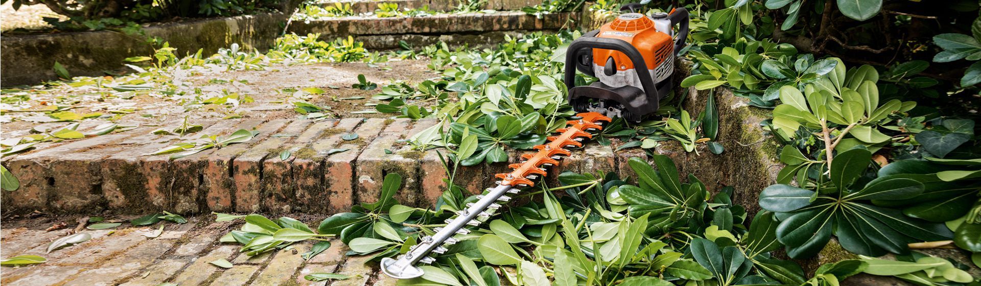 Stihl Heckenschere in Aktion Stihl Heckenschere in Aktion