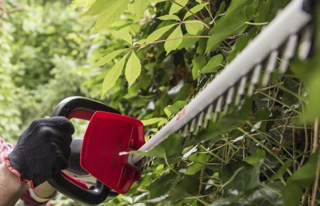 garten gartenmaschinen teaser