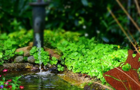 garten teichzubehoer teaser Produktbild garten teichzubehoer teaser