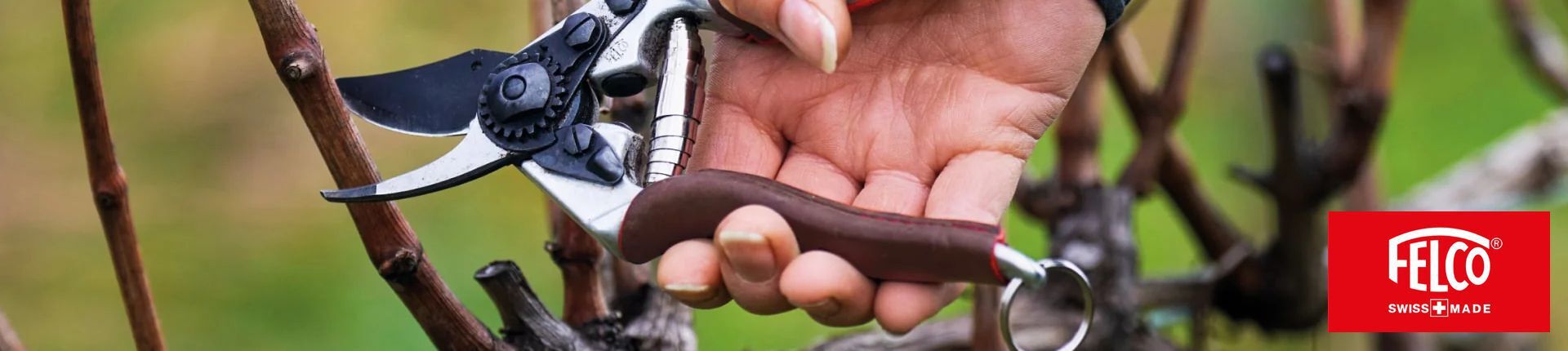 Felco Baumschere im Einsatz beim Schneiden eines dünnen Astes Felco Baumschere im Einsatz beim Schneiden eines dünnen Astes