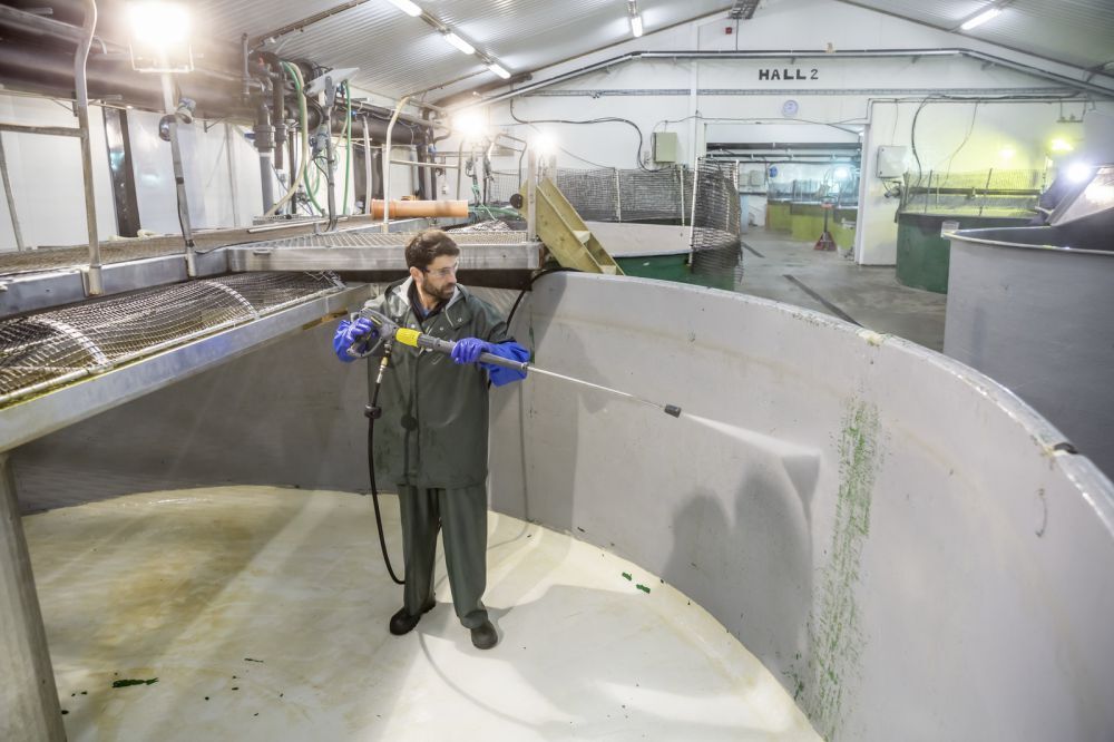 Kärcher Stationärer Hochdruckreiniger HD 17/15-4St *EU