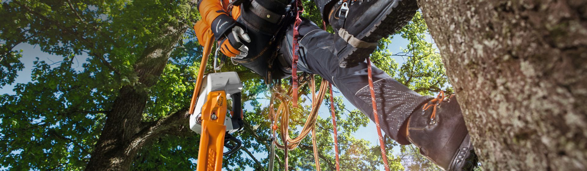 Mann in Stihl Arbeitskleidung mit Absturzsicherung bei Höhenarbeiten in einem Baum Mann in Stihl Arbeitskleidung mit Absturzsicherung bei Höhenarbeiten in einem Baum