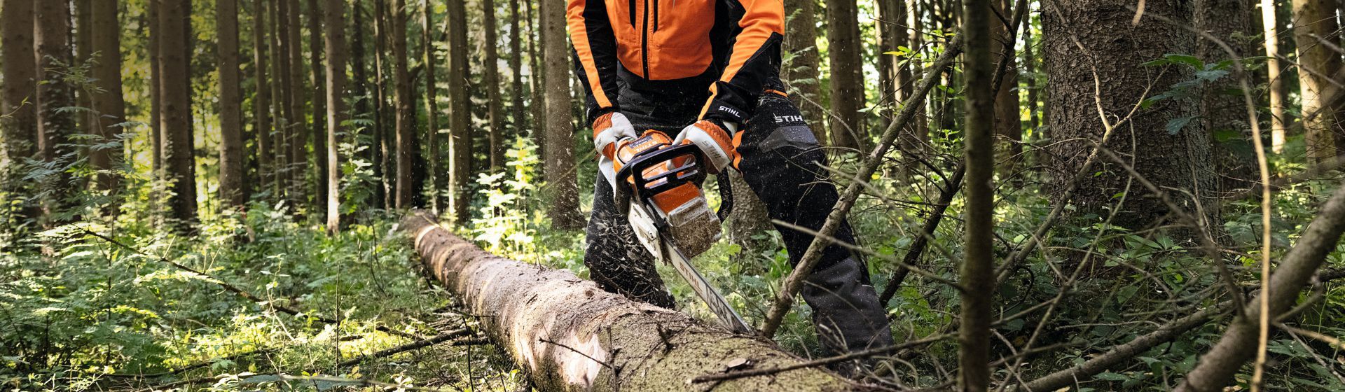 Waldarbeiter in Stihl Arbeitskleidung beim Sägen eines gefällten Baumstamms mit einer Motorsäge Waldarbeiter in Stihl Arbeitskleidung beim Sägen eines gefällten Baumstamms mit einer Motorsäge