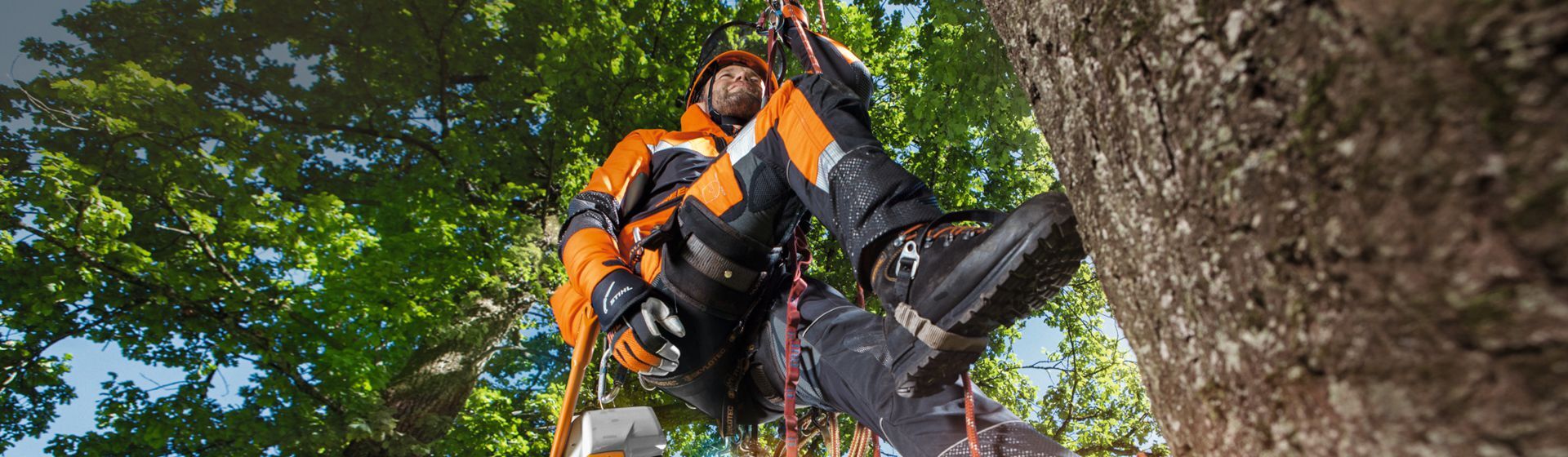 Mann in Stihl Arbeitskleidung bei Höhenarbeiten im Baum