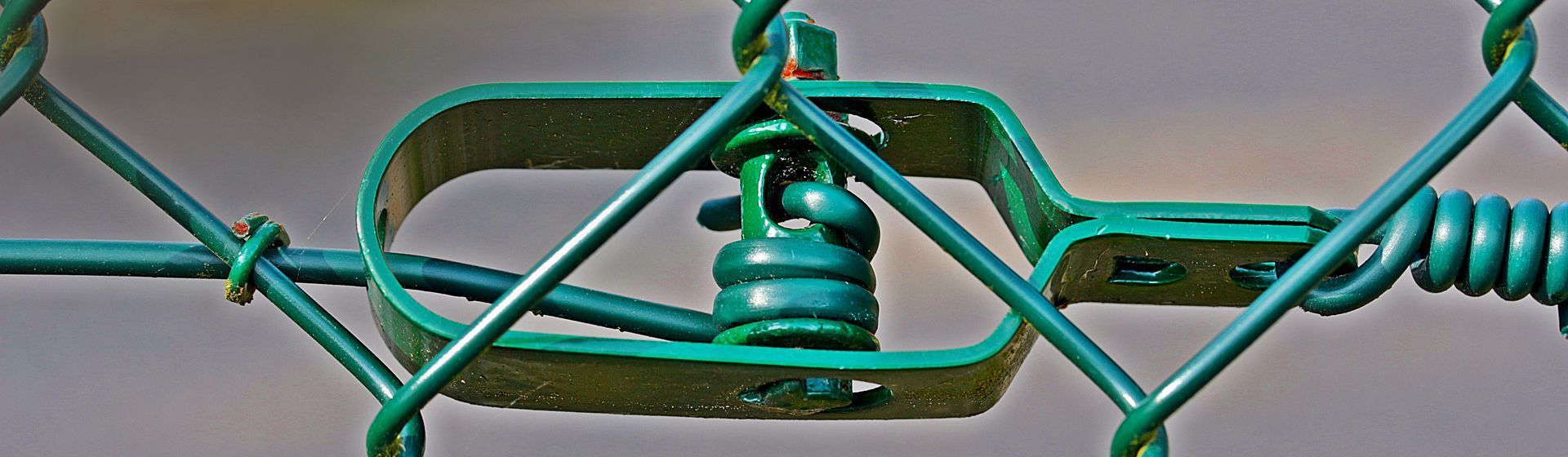 Grüner Drahtspanner an einem Maschendrahtzaun Grüner Drahtspanner an einem Maschendrahtzaun
