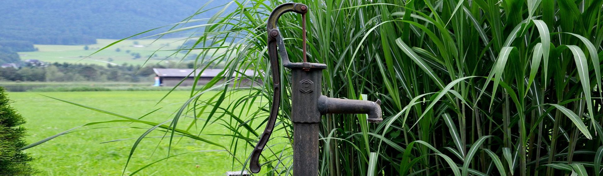 Schwengelpumpe in einem Garten Schwengelpumpe in einem Garten