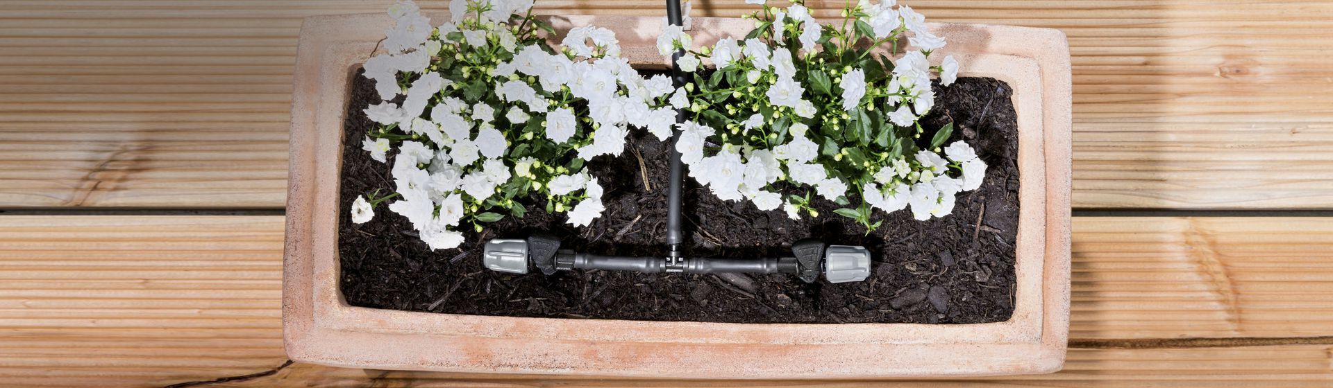 Kärcher Bewässerungssystem in einem Blumenkasten