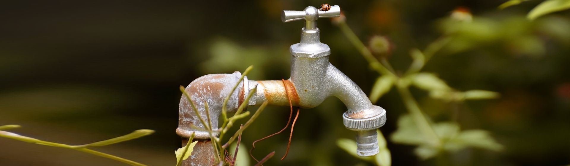 Alter Garten-Wasserhahn