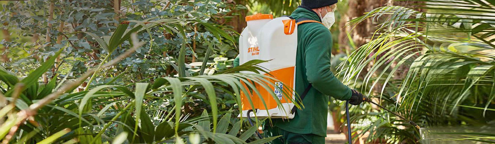 Mann besprüht Pflanzen in einem Gewächshaus mit einem Stihl Drucksprühgerät Mann besprüht Pflanzen in einem Gewächshaus mit einem Stihl Drucksprühgerät