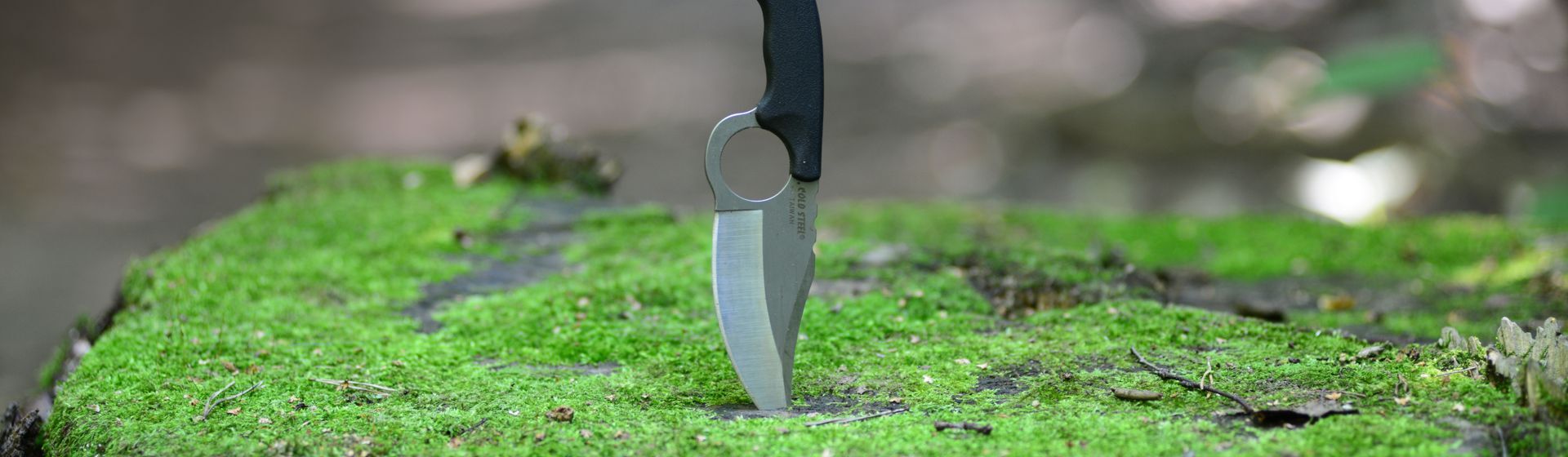 Messer mit schwarzem Griff und silberner Klinge in einem mit Moos besetzten Baumstamm steckend Messer mit schwarzem Griff und silberner Klinge in einem mit Moos besetzten Baumstamm steckend