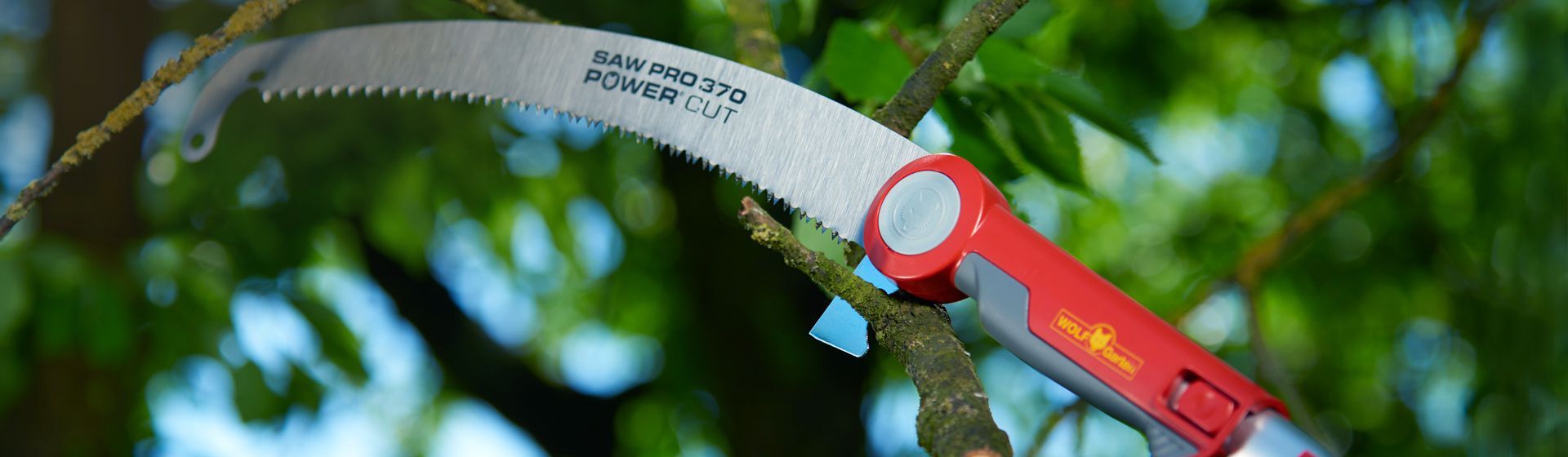 Wolf-Garten Astsäge Saw Pro 370 im Einsatz Wolf-Garten Astsäge Saw Pro 370 im Einsatz