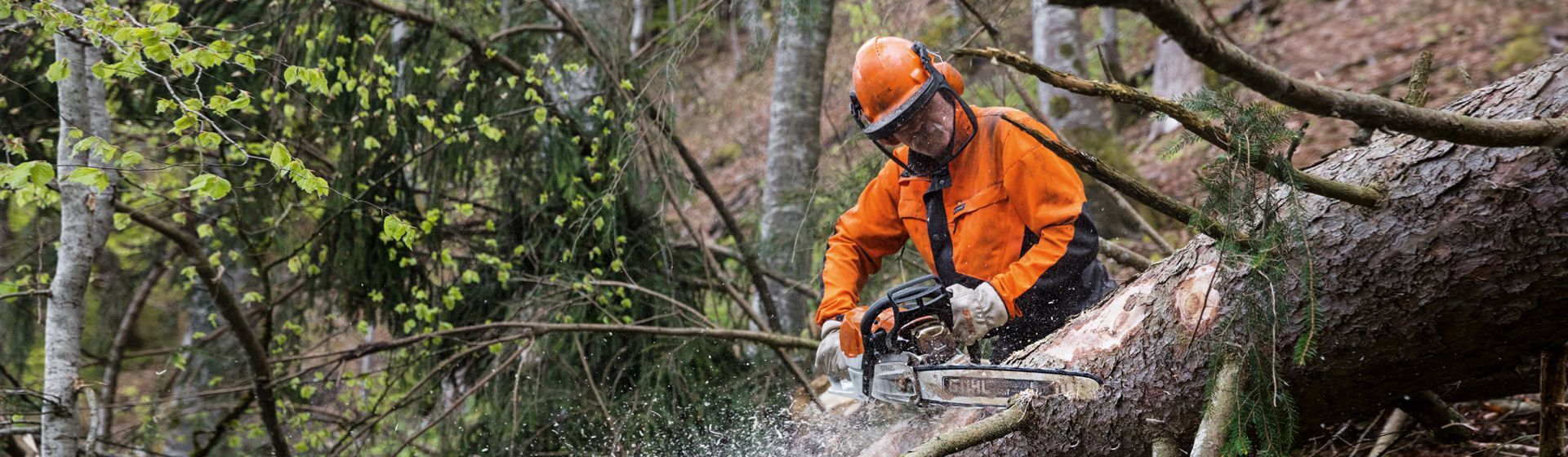 Stihl Benzin Kettensäge in Aktion Stihl Benzin Kettensäge in Aktion