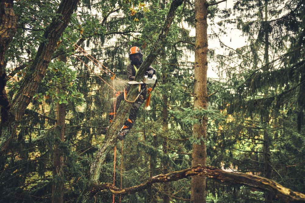 Produktbild Akku Kettensäge MSA 220 TC-O PS3 Pro Schienenlänge 35 cm bild 5