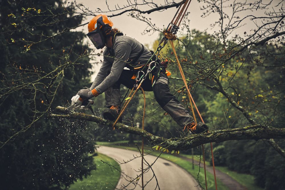 STIHL Akku Gehölzschneider GTA 40 ohne Akku und Ladegerät Produktbild STIHL Akku Gehölzschneider GTA 40 ohne Akku und Ladegerät bild 5
