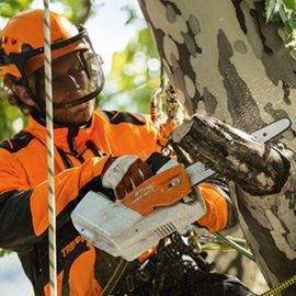 Stihl Akku Motorsäge Baumpflege 30cm MSA 161 T ohne Akku Ladegerät Produktbild Stihl Akku Motorsäge Baumpflege 30cm MSA 161 T ohne Akku Ladegerät bild 2