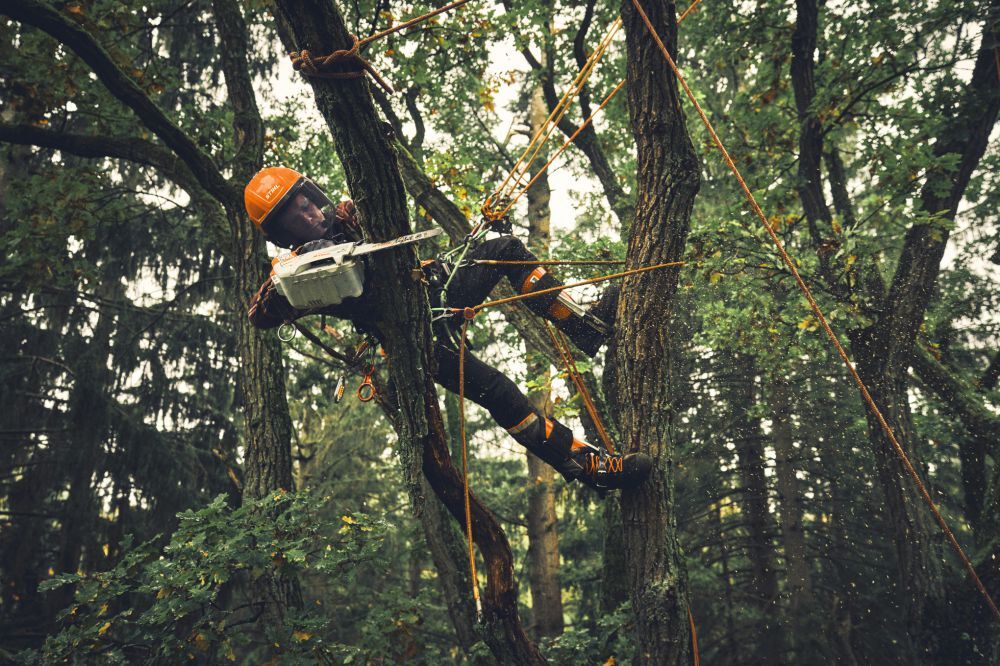 STIHL Akku Kettensäge MSA 190 T Schienenlänge 35 cm 1/4 Zoll PM3 Produktbild STIHL Akku Kettensäge MSA 190 T Schienenlänge 35 cm 1/4 Zoll PM3 bild 3