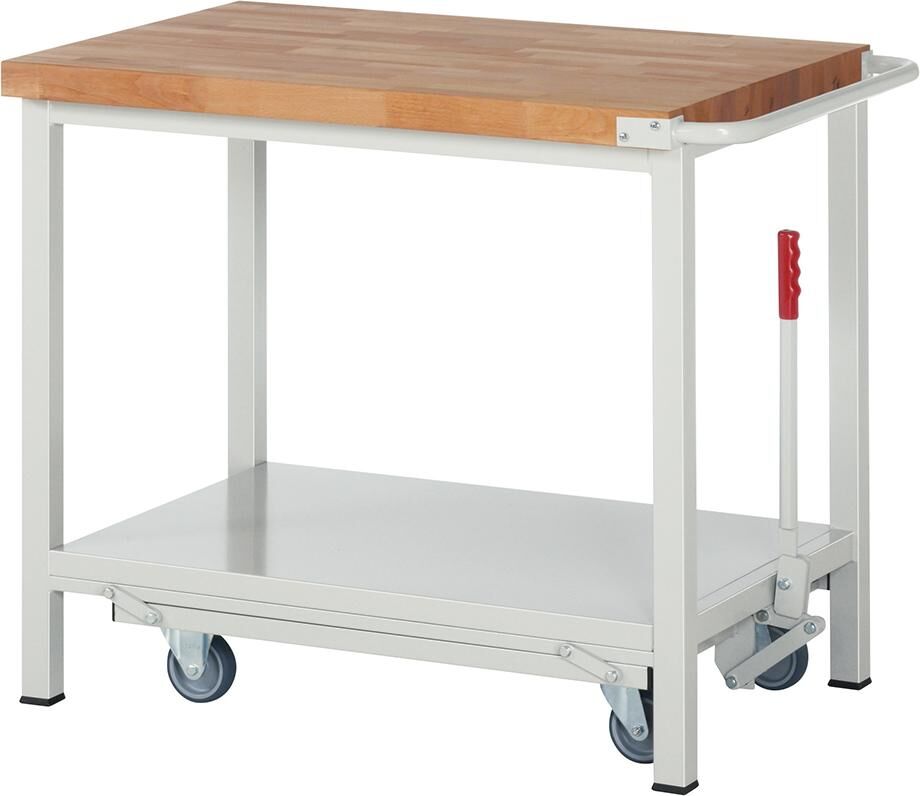 RAU Werkbank Fg Modell 8000 B 1000xT 700xH 880mm Produktbild RAU Werkbank Fg Modell 8000 B 1000xT 700xH 880mm