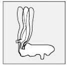 Drehstuhl Point 80 schwarz Produktbild Drehstuhl Point 80 schwarz bild 2