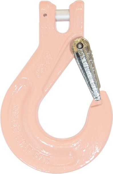 FS Hebetechnik Sicherheits-Schmiedefalle für Lasthaken Durchmesser 6 mm C29SN / C79SN Cartec 80 Produktbild FS Hebetechnik Sicherheits-Schmiedefalle für Lasthaken Durchmesser 6 mm C29SN / C79SN Cartec 80