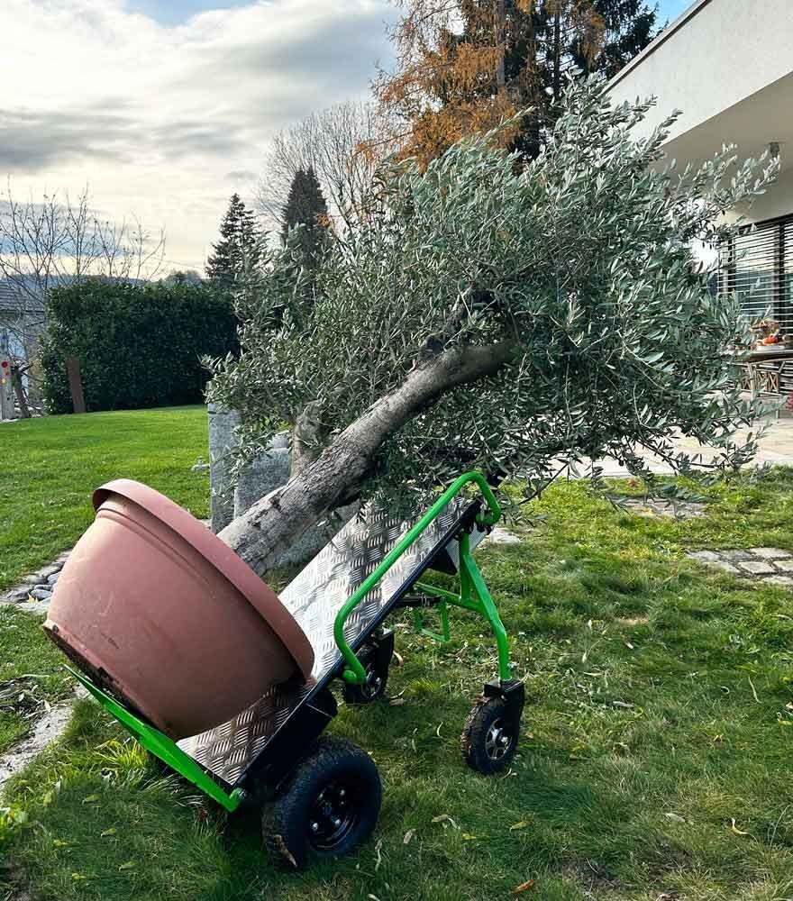 Zipper Elektro Sackkarre Tragkraft bis 260 kg Zipper Elektro Sackkarre Tragkraft bis 260 kg