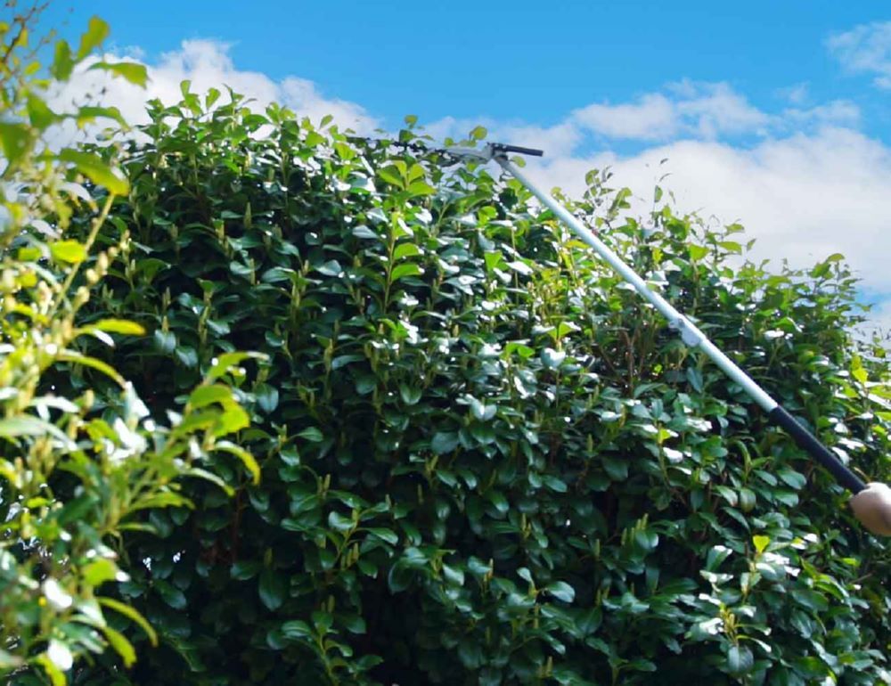 Zipper Gartenpflege Set mit 3 Aufsetzköpfe und Verlängerungen Produktbild Zipper Gartenpflege Set mit 3 Aufsetzköpfe und Verlängerungen bild 9